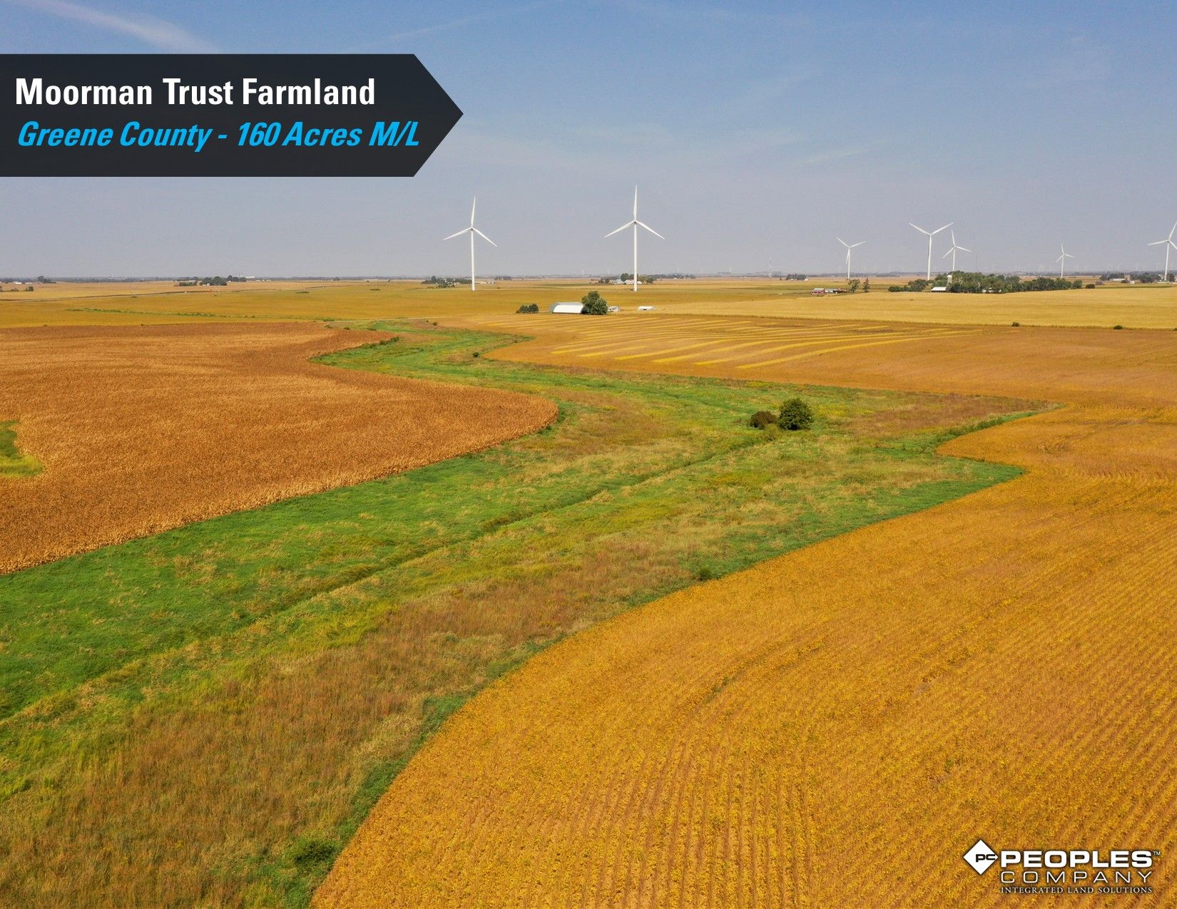Listing Photo: Greene-County-Iowa-Farmland-Auction-160-Acres-Moorman-Rippey-IA-18618 (22)